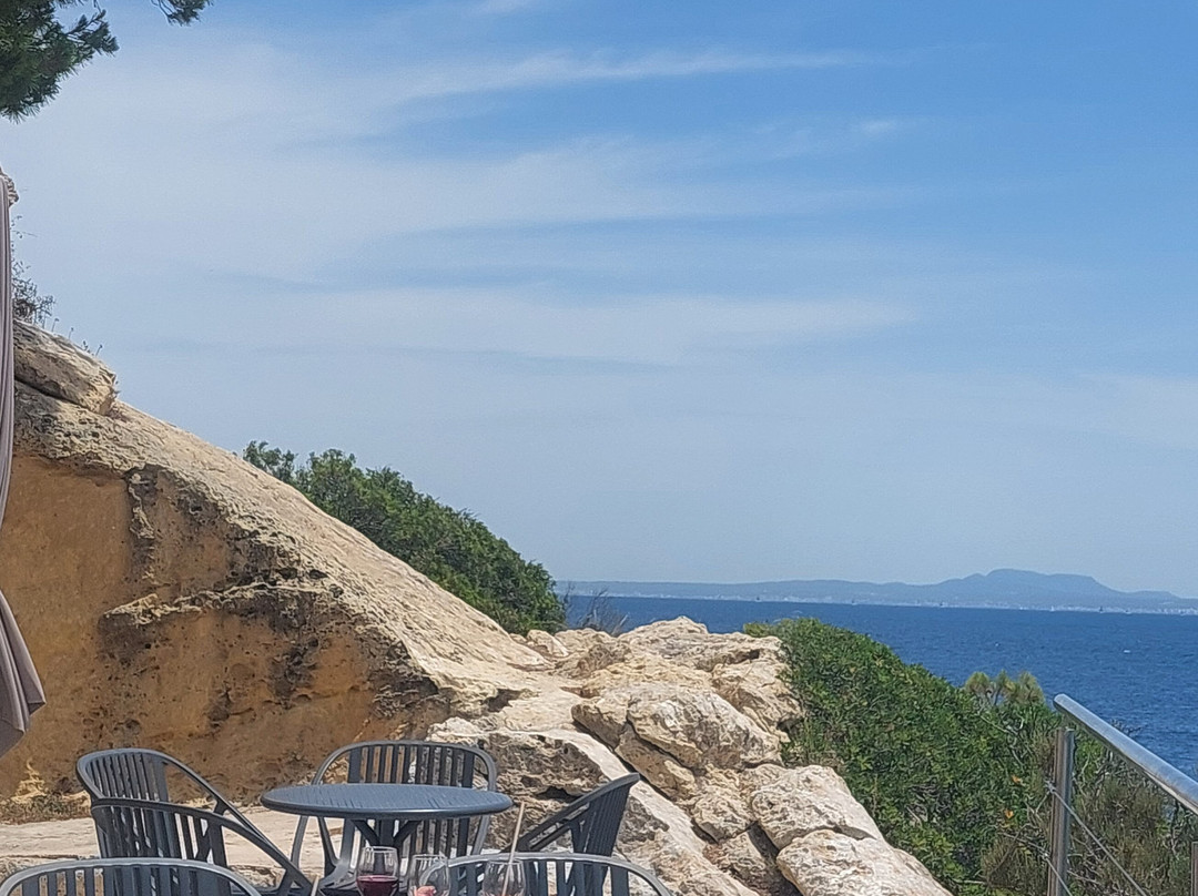 Globales Cala Viñas Adults Only 16+主图