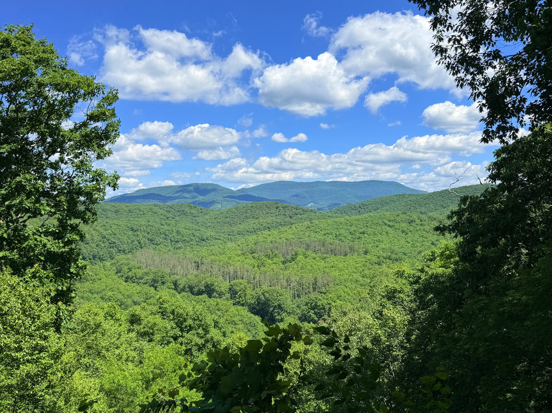 Seneca State Forest-Marlinton必去景点