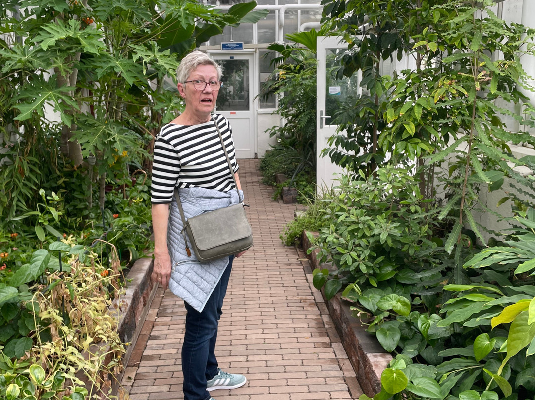 TU Delft Hortus Botanicus-代尔夫特必去景点