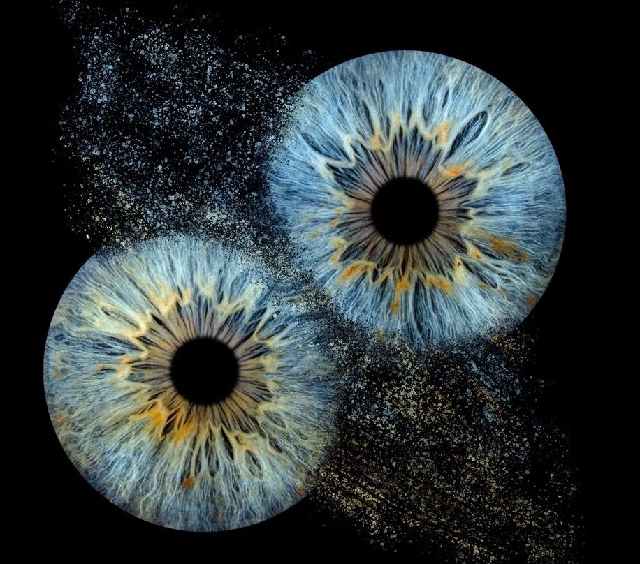 Iris Galerie Gent