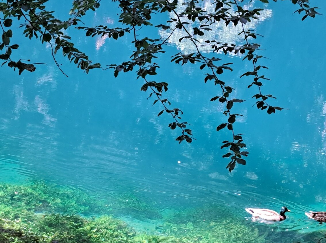 Blautopf-布劳博伊伦必去景点