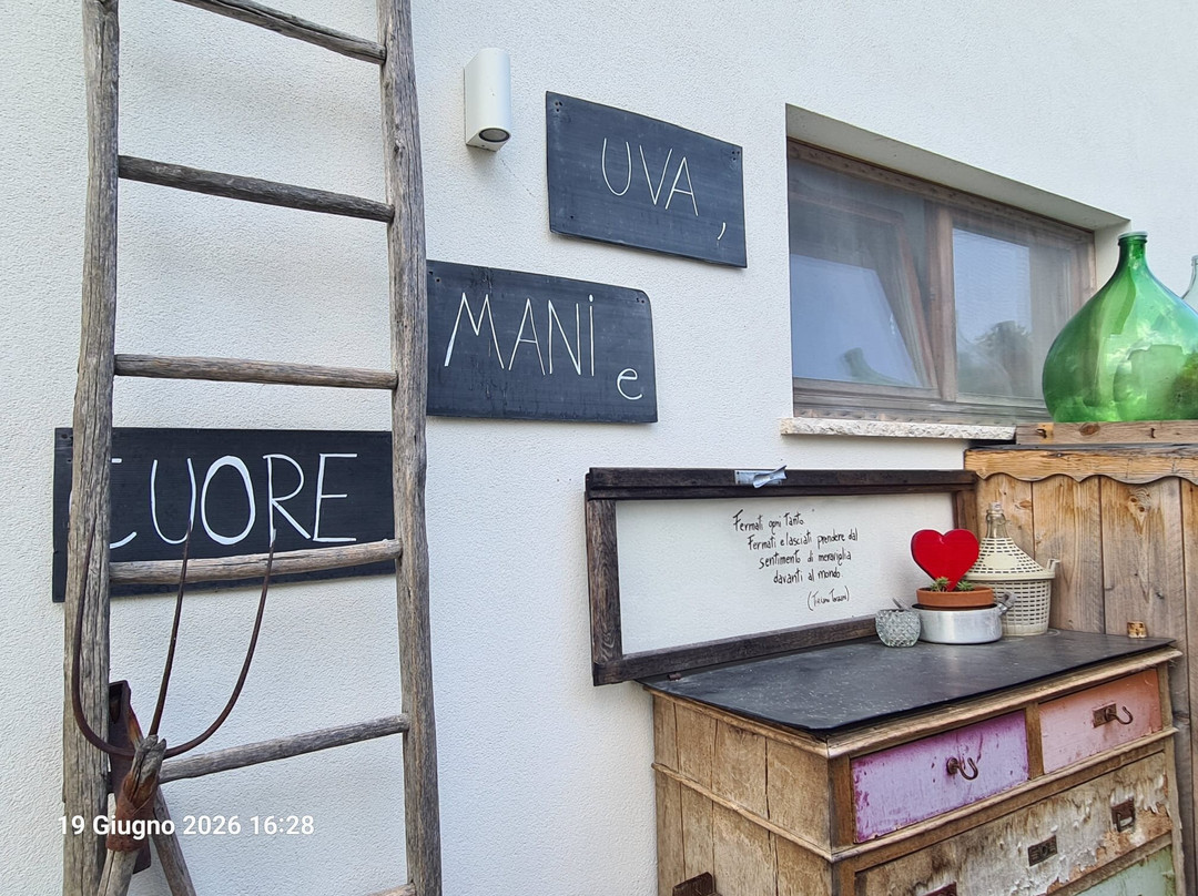 Cantina UVA, MANI e CUORE.-San Gottardo必去景点