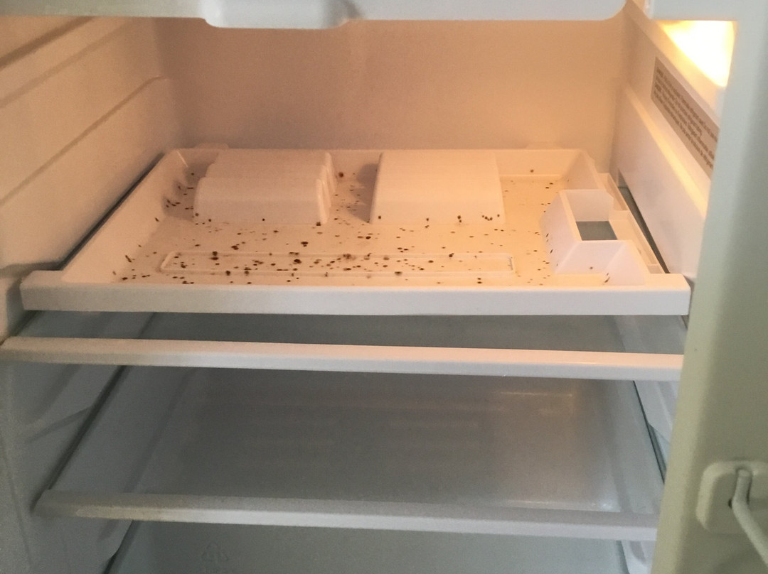 安妮雪莉汽车旅馆及小屋主图