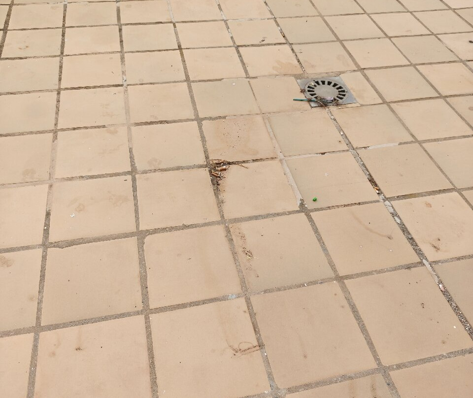 埃文尼亚索莱达花园酒店主图