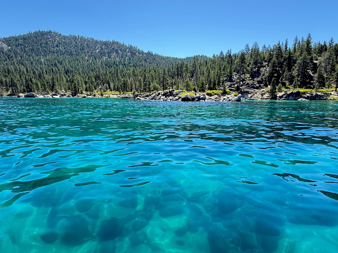 North Lake Tahoe Boat Rental-塔霍维斯塔必去景点