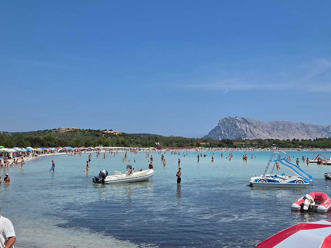 Cala Brandinchi-Capo Coda Cavallo必去景点