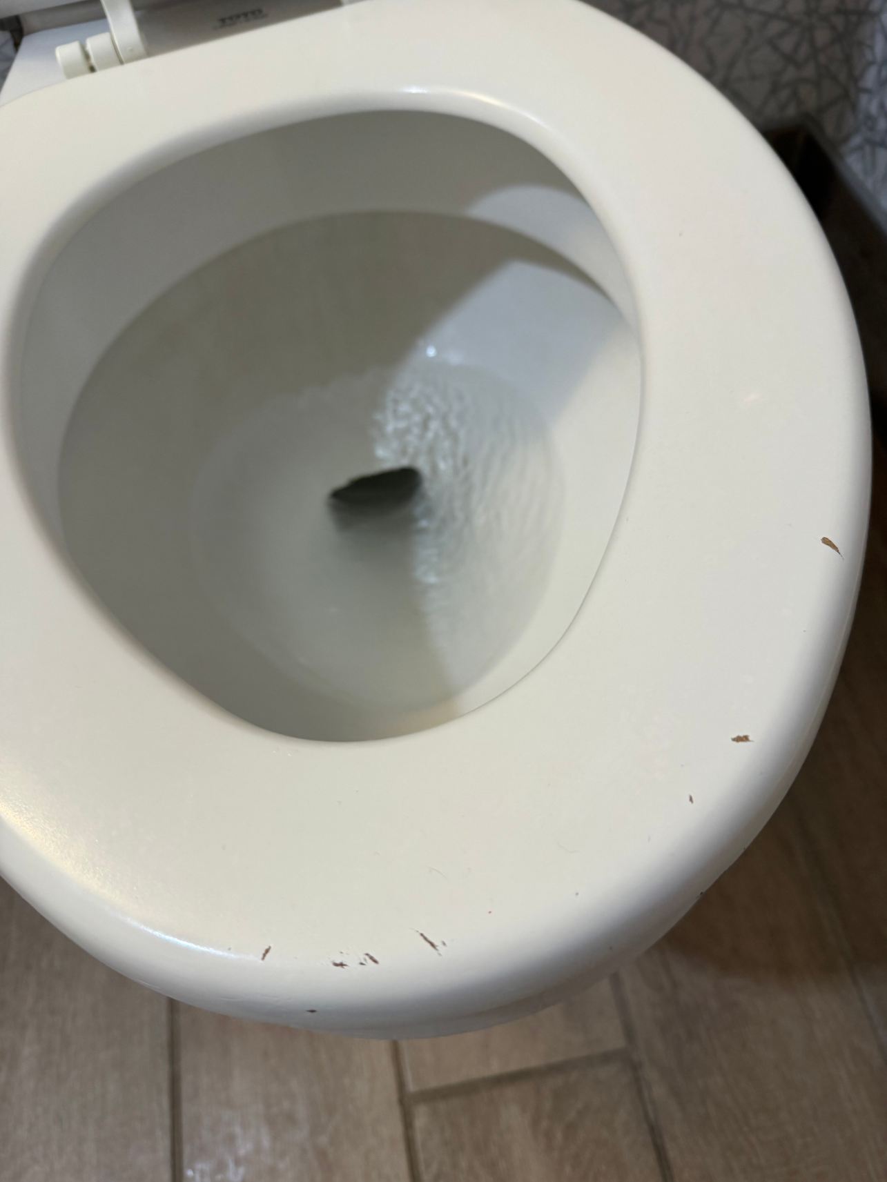 希尔顿欢朋酒店-维达利亚-旅行者