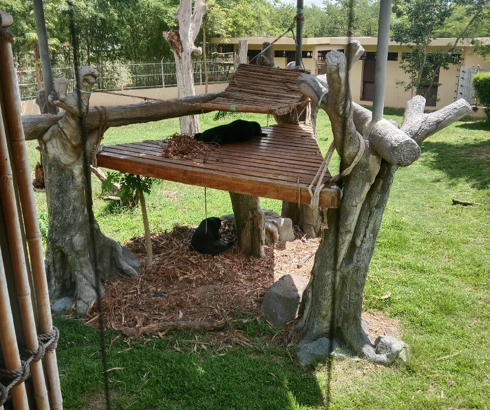 Angkor Wildlife & Aquarium-暹粒必去景点