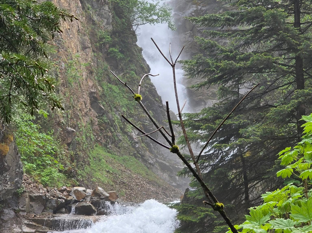 Lower Reid Falls-史凯威必去景点