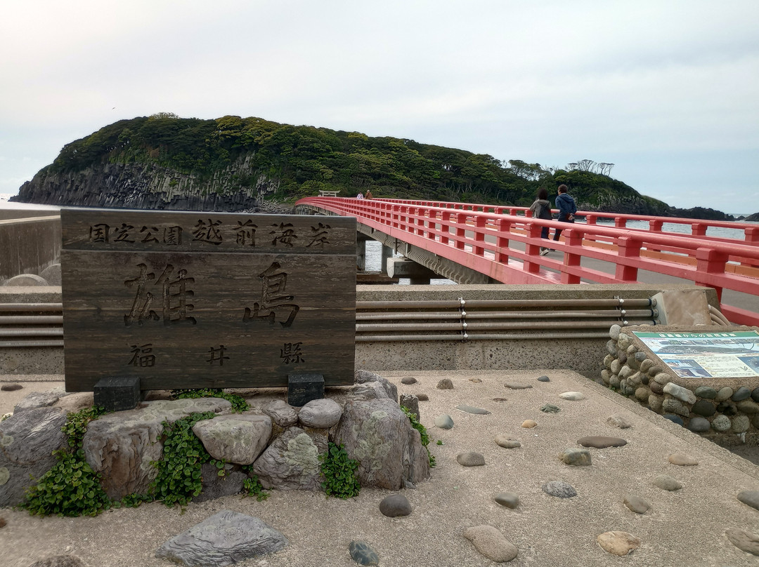 Oshima Island-坂井市必去景点