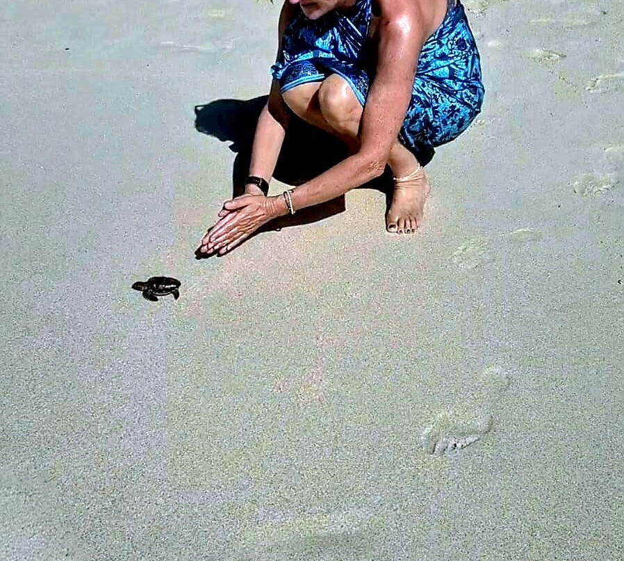 Gili Meno Turtle Sanctuary-Gili Meno必去景点