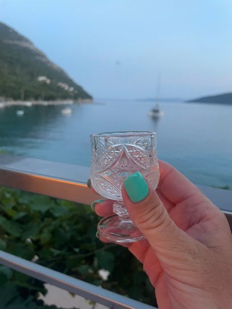 圣尼古拉斯度假酒店-旅行者