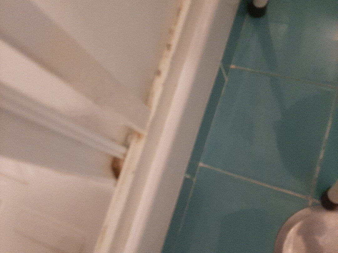 Hotel Leucosya主图