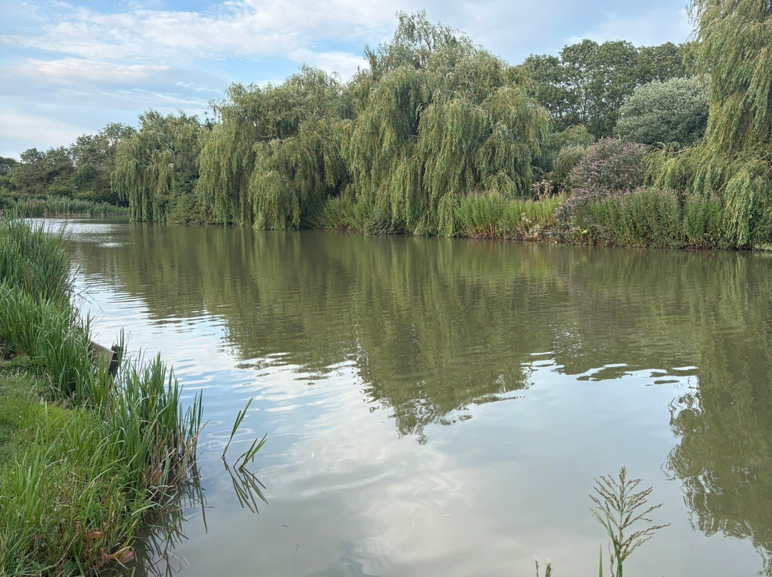 Waterloo Farm Leisure Fishery-Great Oxendon必去景点
