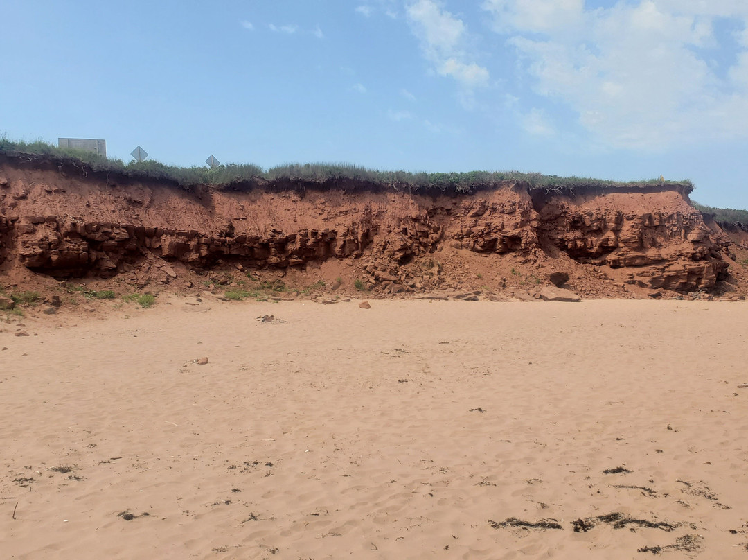 Thunder Cove Beach-Darnley必去景点