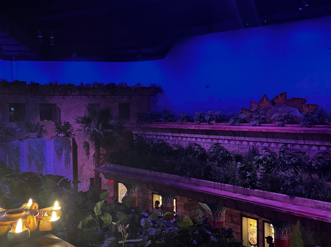 Creation Museum-Petersburg必去景点