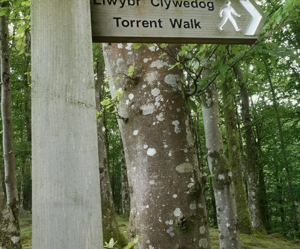 Torrent Walk-Dolgellau必去景点