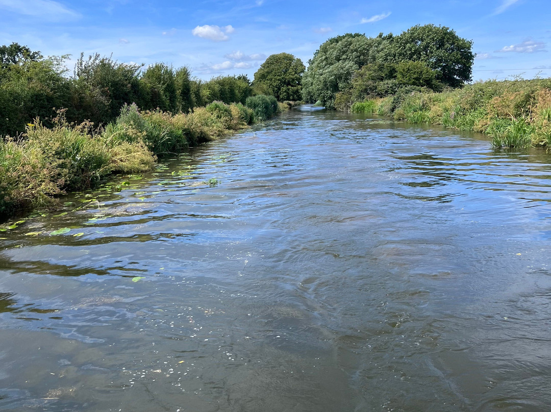 Chichester Ship Canal Trust-奇切斯特必去景点