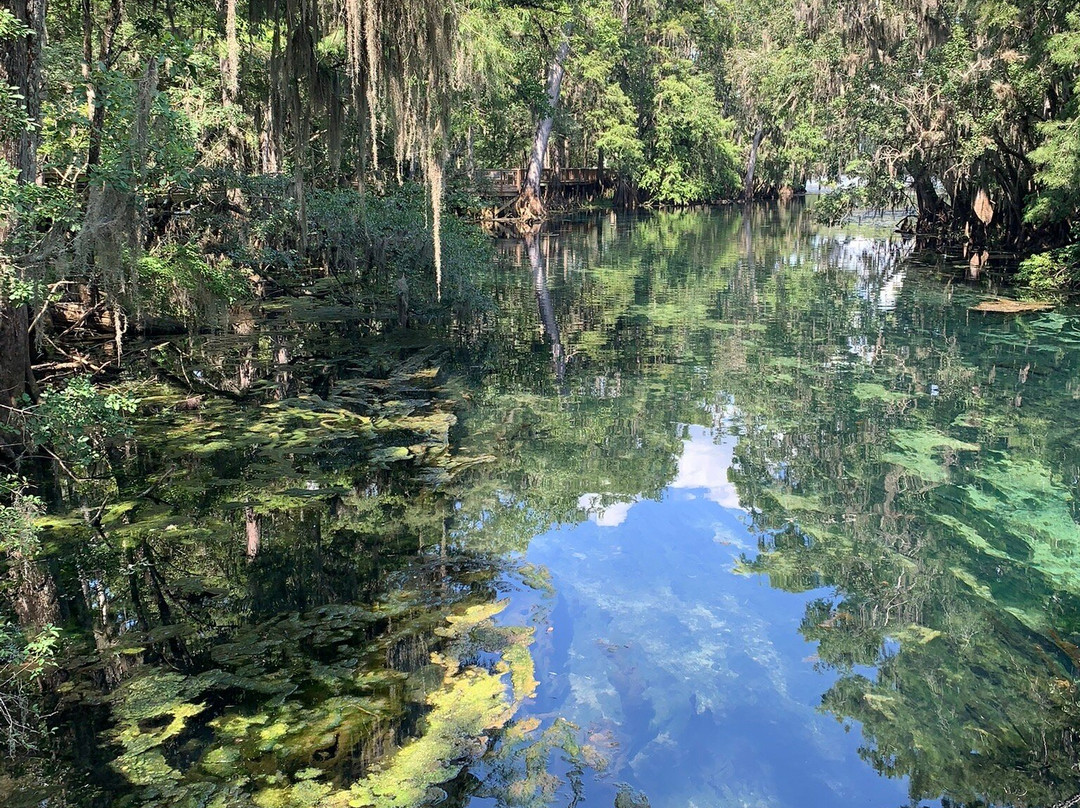 Manatee Springs State Park-Chiefland必去景点