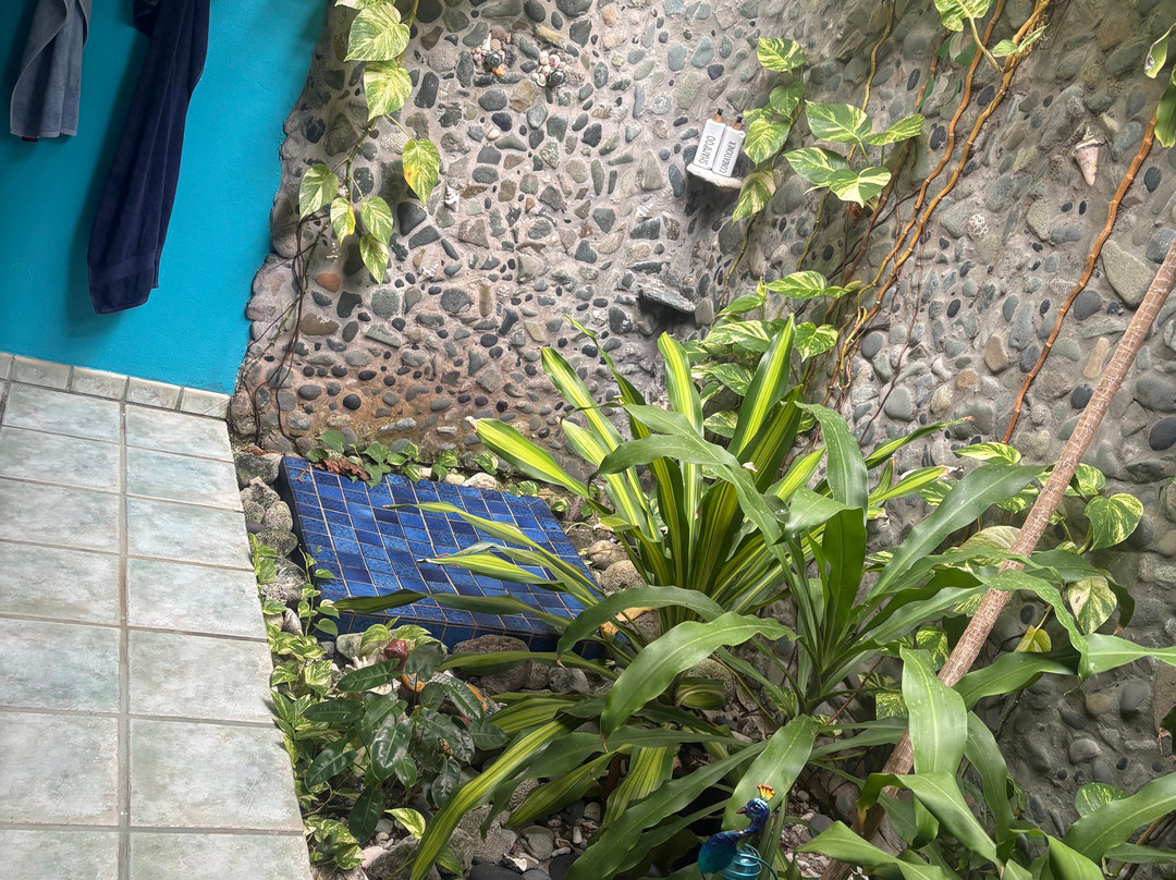 Garden by the Sea B&B主图