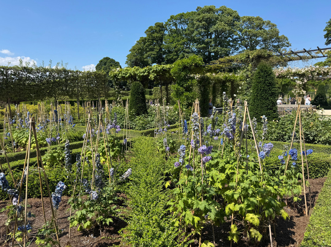 The Alnwick Garden-阿尼克必去景点