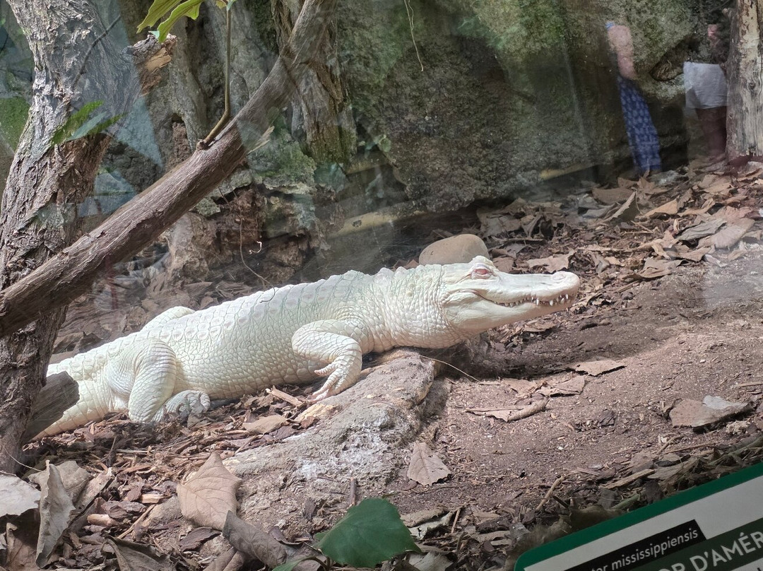 La Ferme Aux Crocodiles-Pierrelatte必去景点
