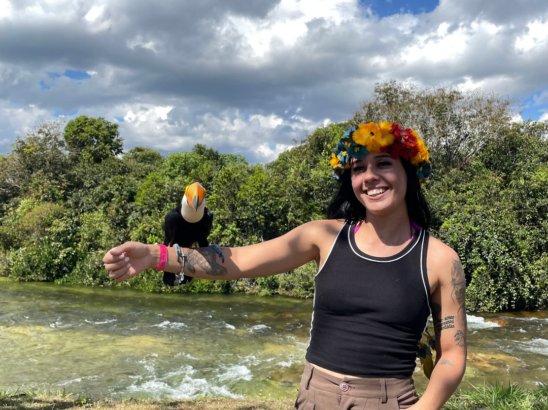 Cachoeira Salto Belo-Campo Novo Do Parecis必去景点