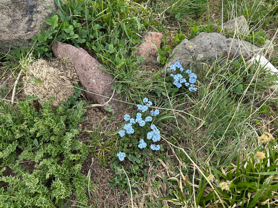 Mount Aragats-Aragatsotn必去景点