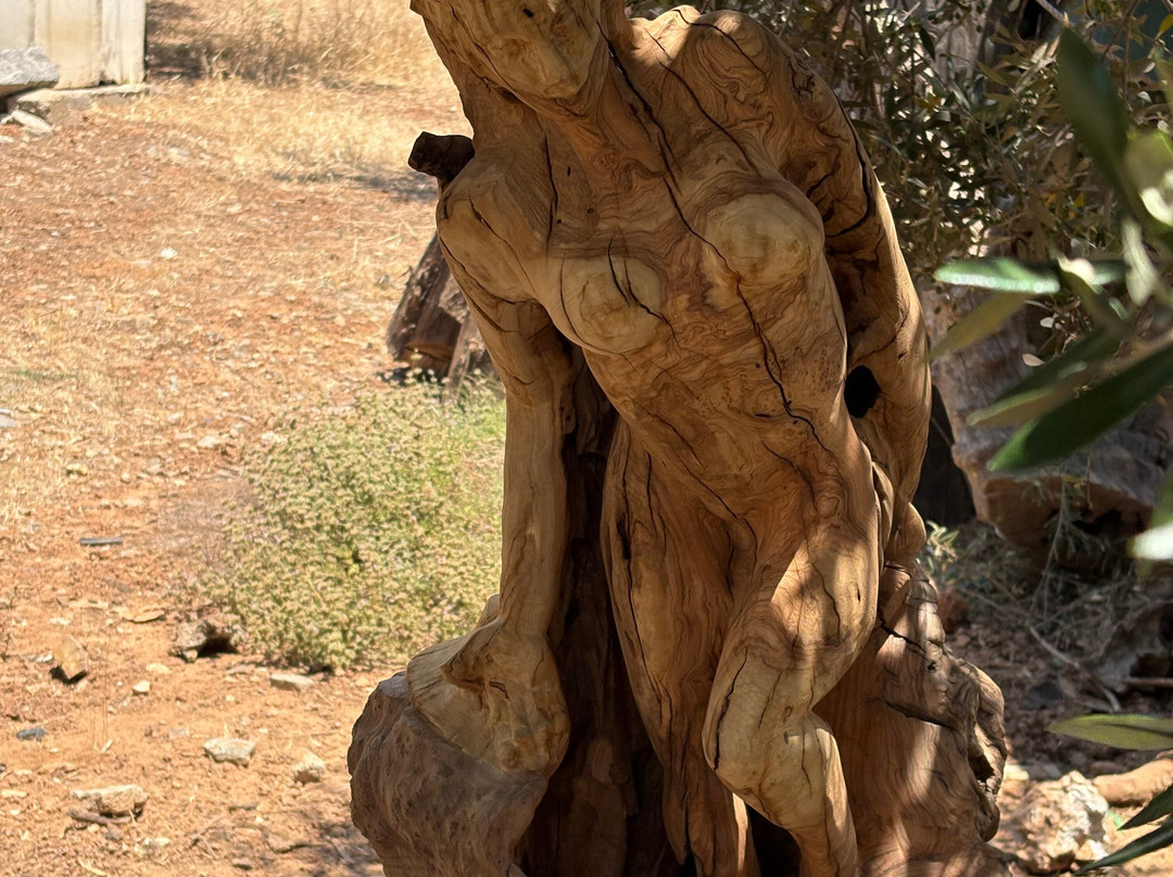 Safari Crete Experience-Agios Nikolaos必去景点