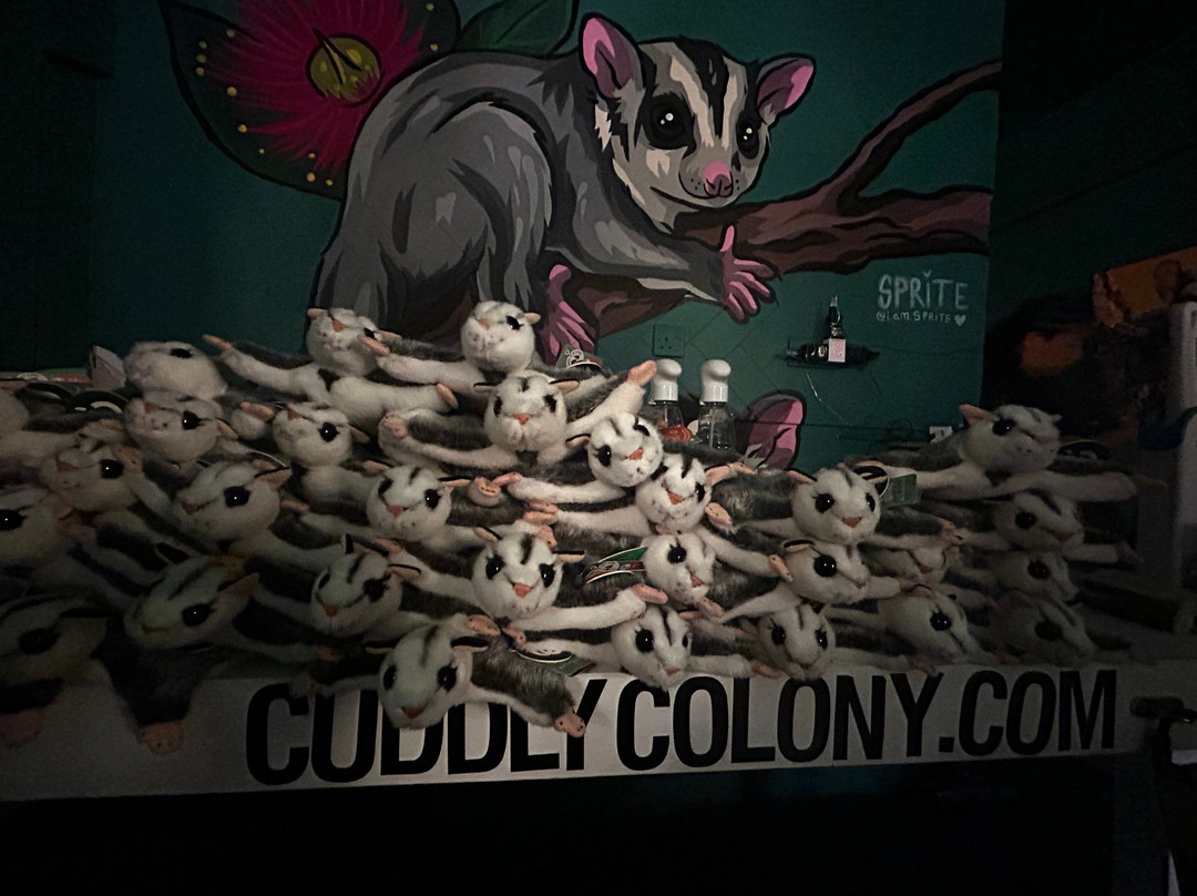 Cuddly Colony-布莱顿必去景点