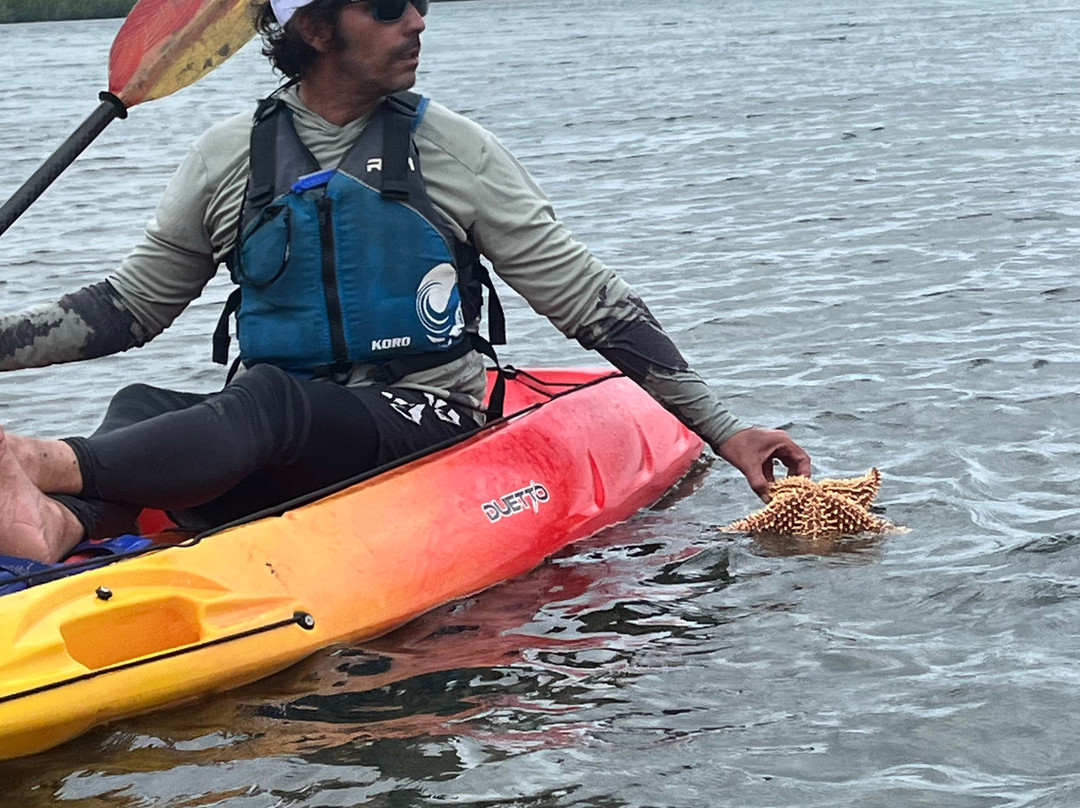 TI-Evasion Kayak de mer en Guadeloupe-Pointe-a-Pitre必去景点