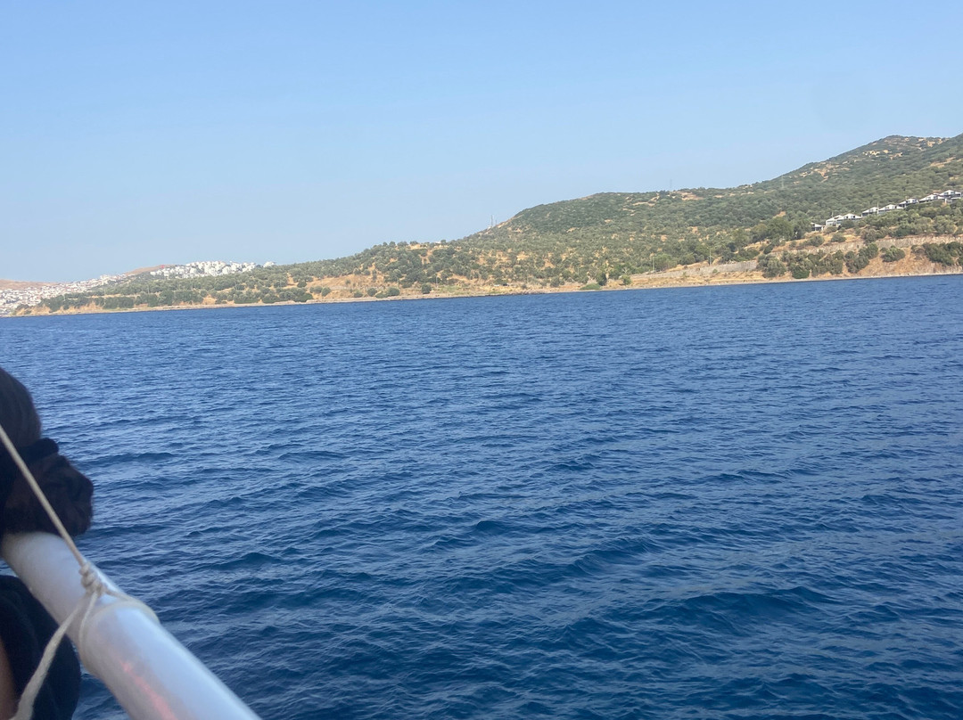 Dikili Tekne Turu Güven Tur ( Travel )-迪克利必去景点