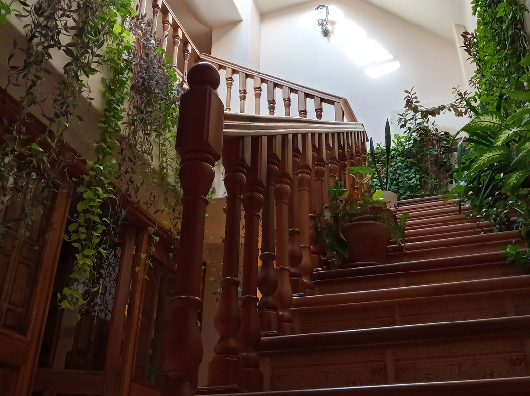 Orosi Boutique Hotel主图