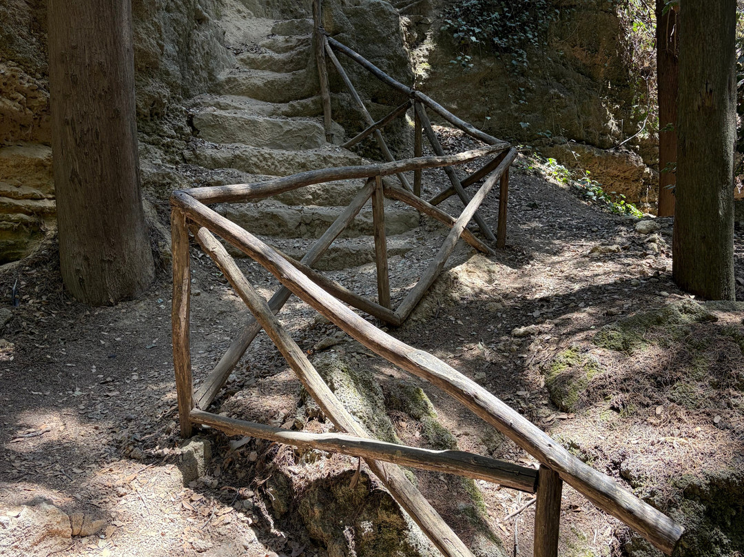 Rodini Park-罗德斯必去景点