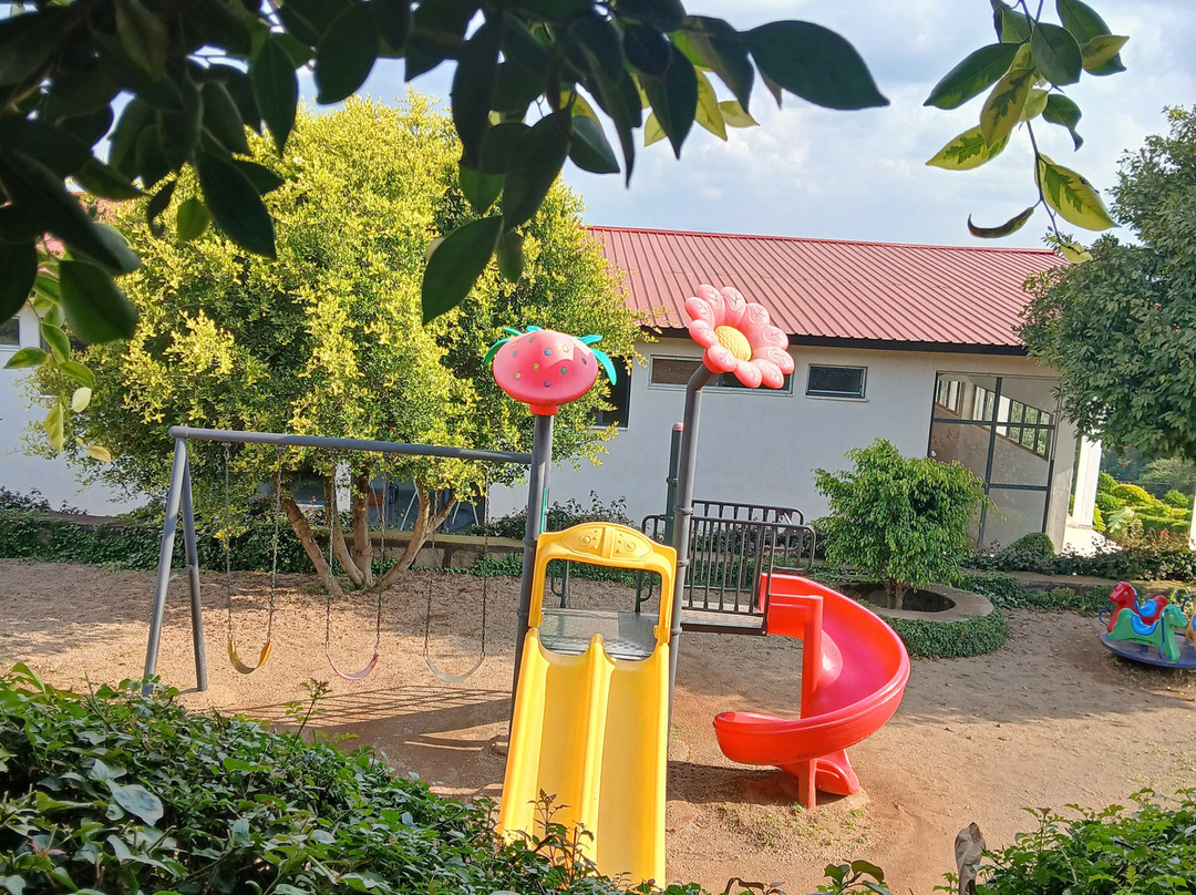 Lewi Resort Wolaita主图