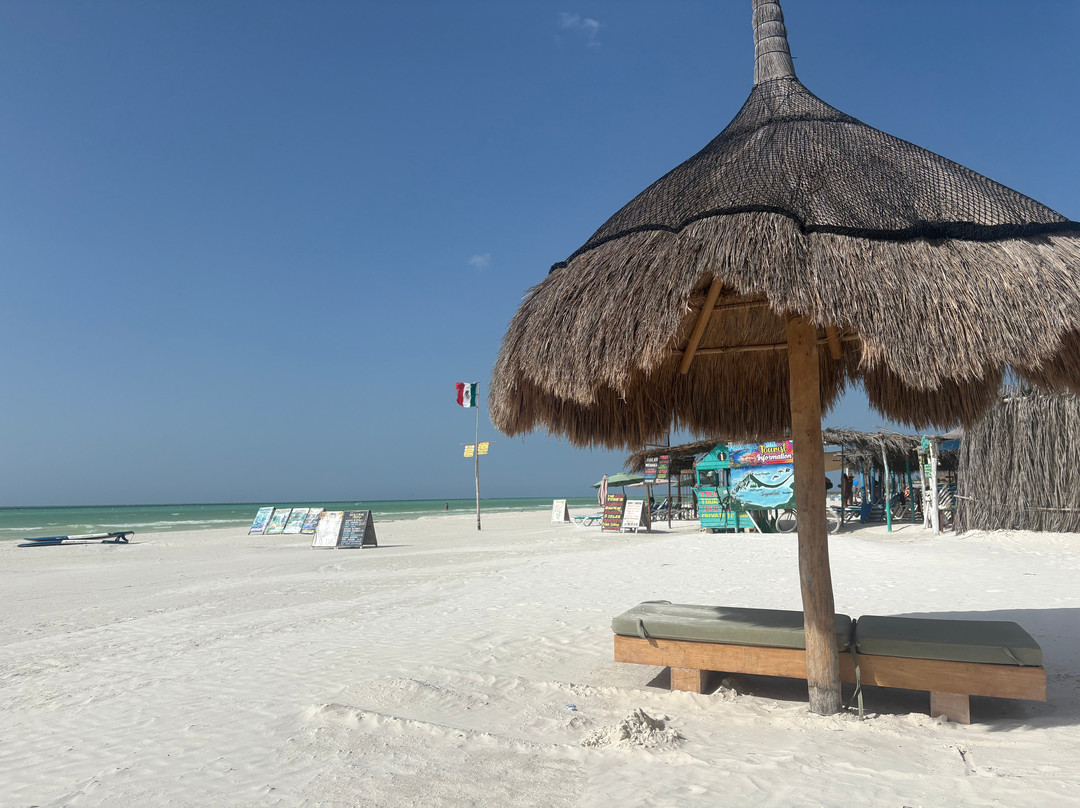 Isla Holbox-Holbox Island必去景点