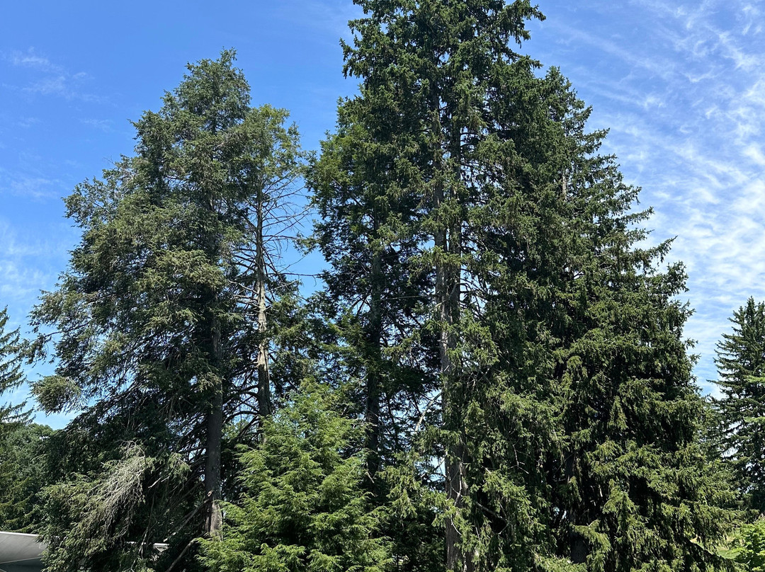 DeCordova Sculpture Park & Museum-Lincoln必去景点