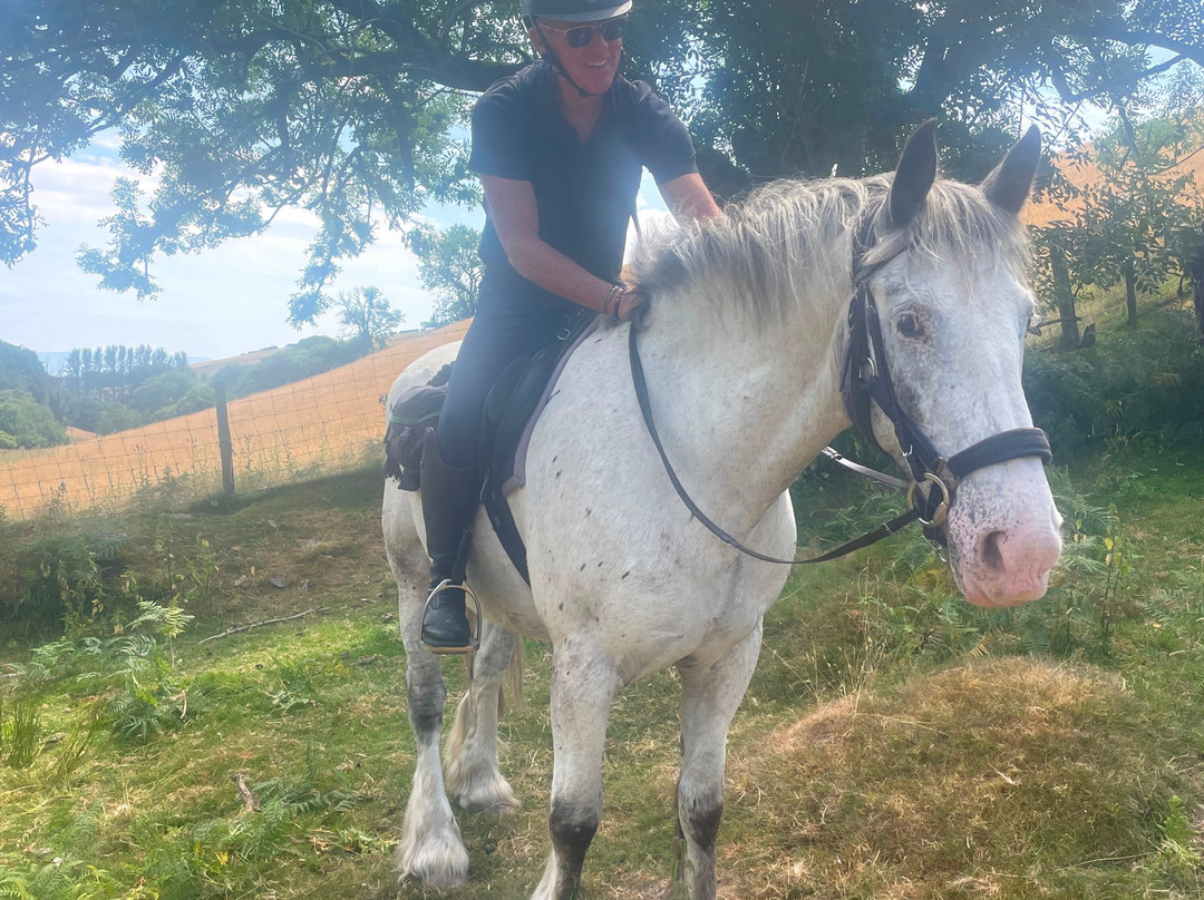 Freerein Riding Holidays-Clyro必去景点