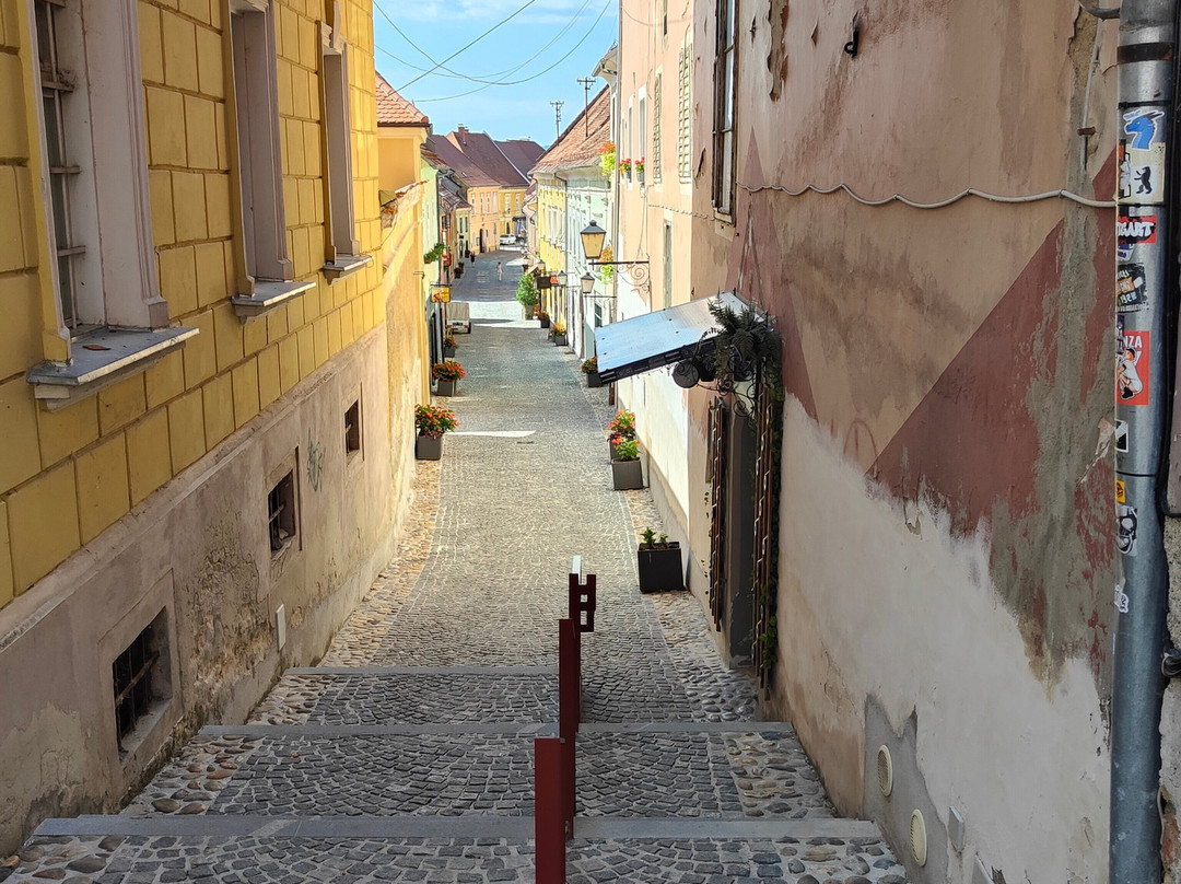 Ptuj City Tower-普图伊必去景点