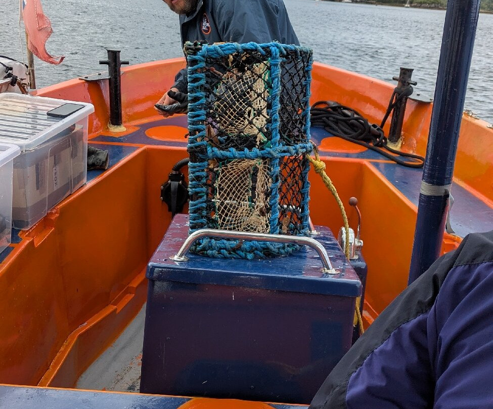 Gairloch Glass Bottom Boat Cruises-盖尔洛赫必去景点