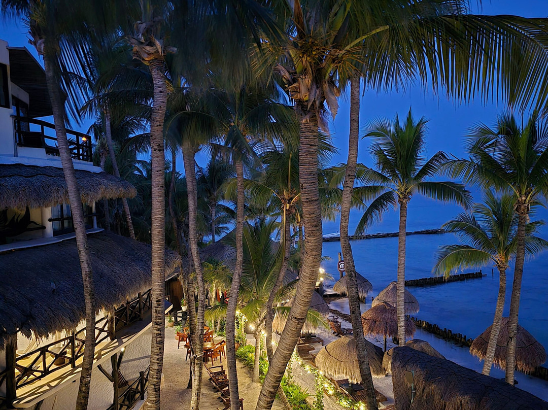 Beachfront Hotel La Palapa主图