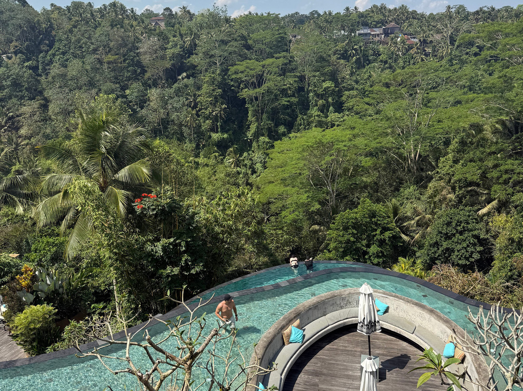The Kayon Jungle Resort  (Adult Only)主图