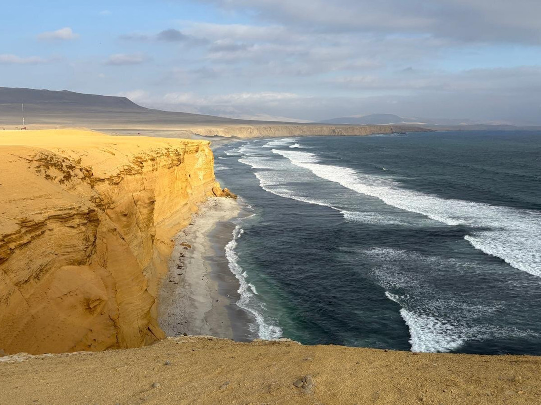 Paracas National Reserve-Ica Region必去景点