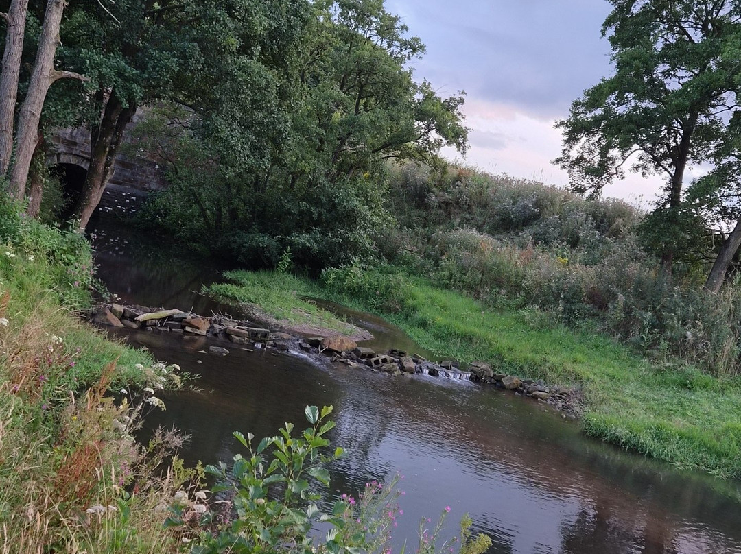 New Mills Trout Fishing Park-Brampton必去景点