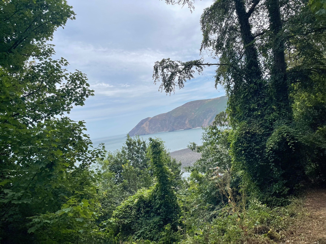 Valley of Rocks Walk-South West Coast Path-林顿必去景点