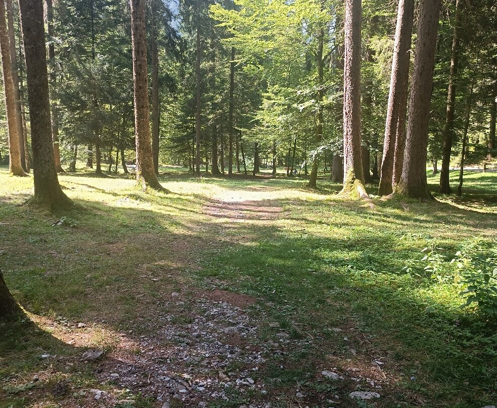 Val di Concei-莱德罗必去景点