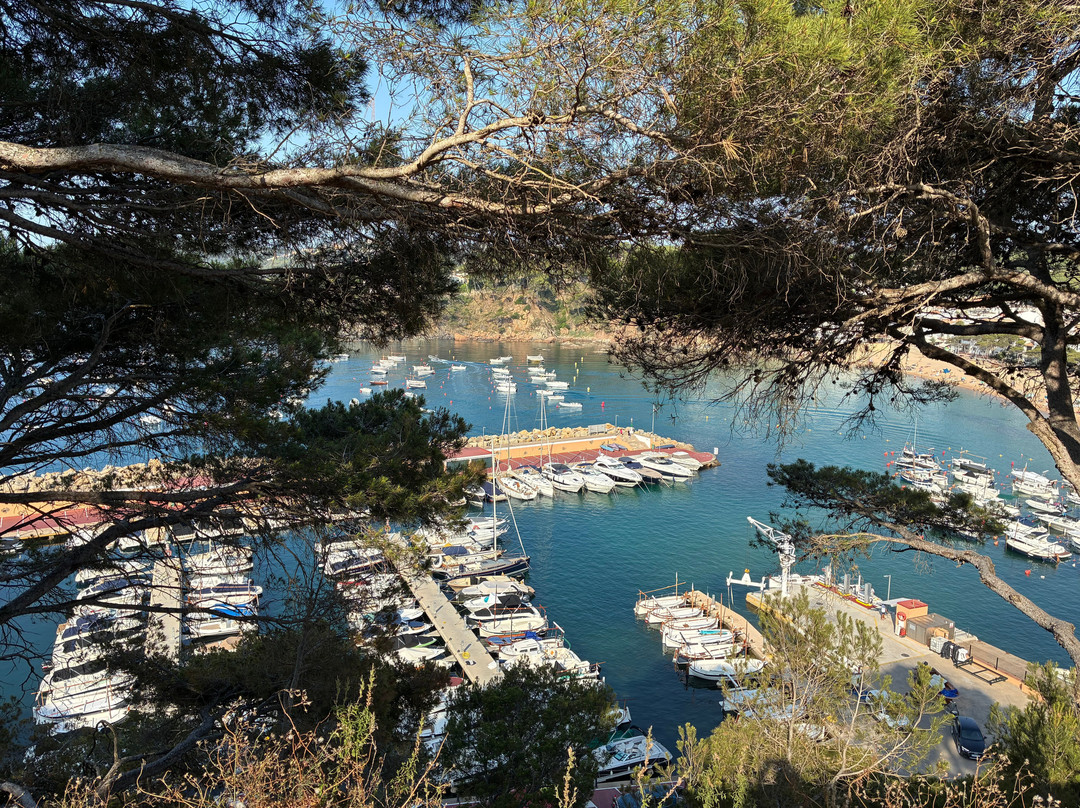 Playa De Llafranc-Llafranc必去景点