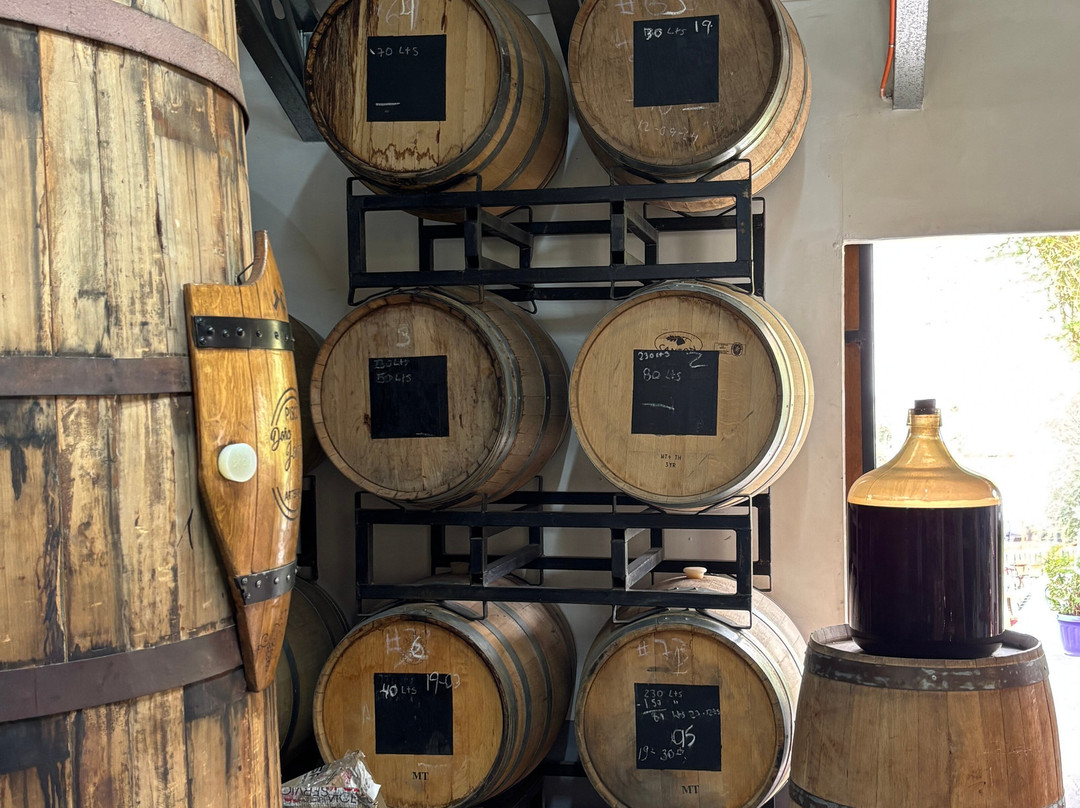 Doña Josefa de Elqui - Pisco Artesanal-Pisco Elqui必去景点