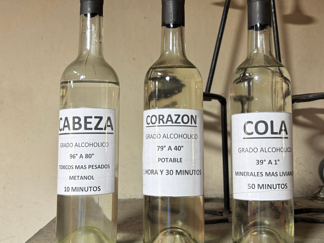 Doña Josefa de Elqui - Pisco Artesanal-Pisco Elqui必去景点