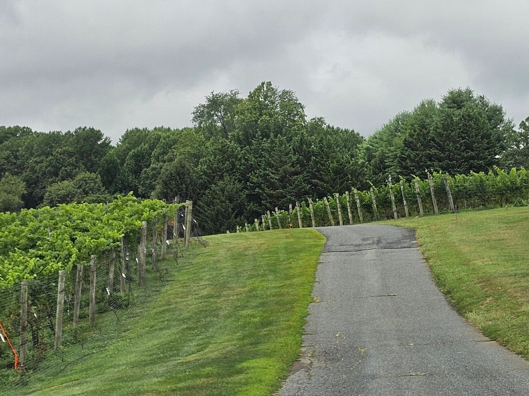 Harford Vineyard and Winery-Forest Hill必去景点